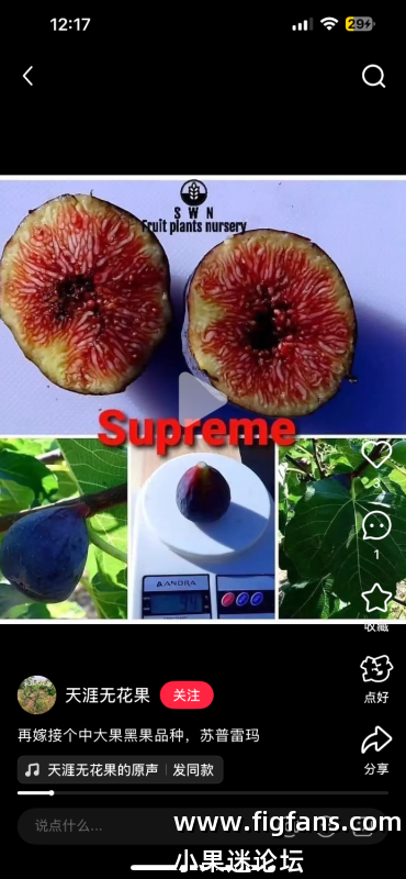 IMG_5128.png