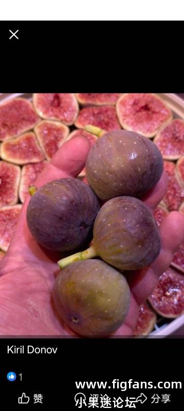 1000043989.jpg 1000043989.jpg