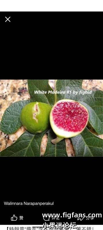 1000044279.jpg 1000044279.jpg