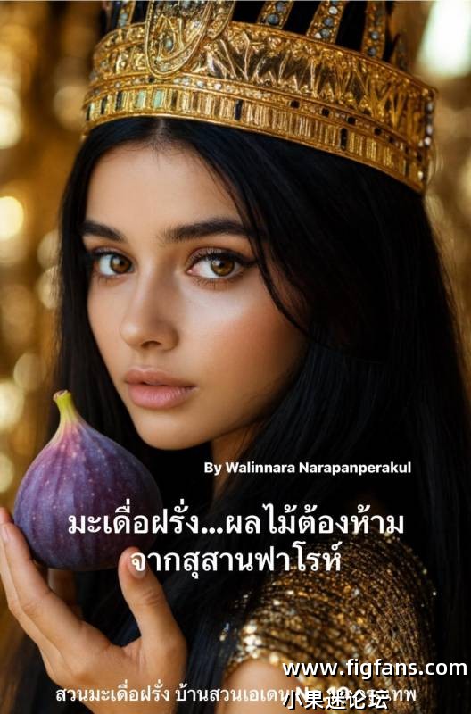 1000044398.jpg 1000044398.jpg