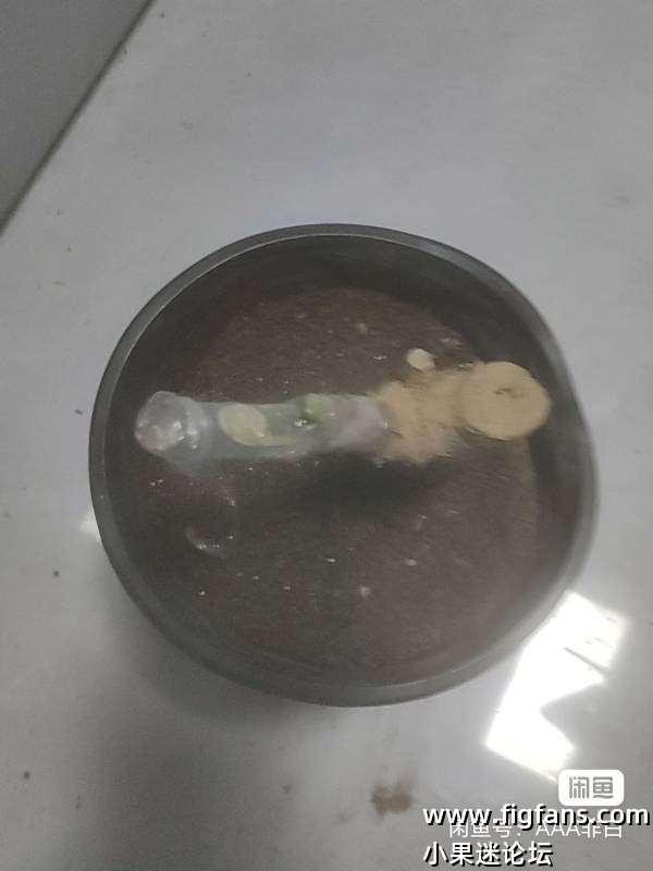 出两颗甜皮鸭-小果迷