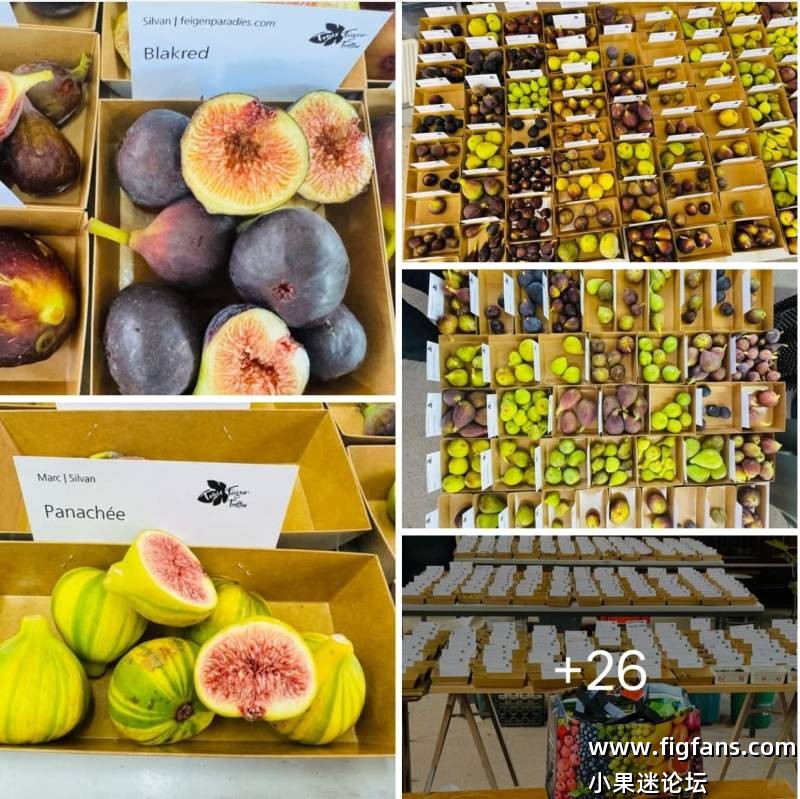 1000045476.jpg 1000045476.jpg