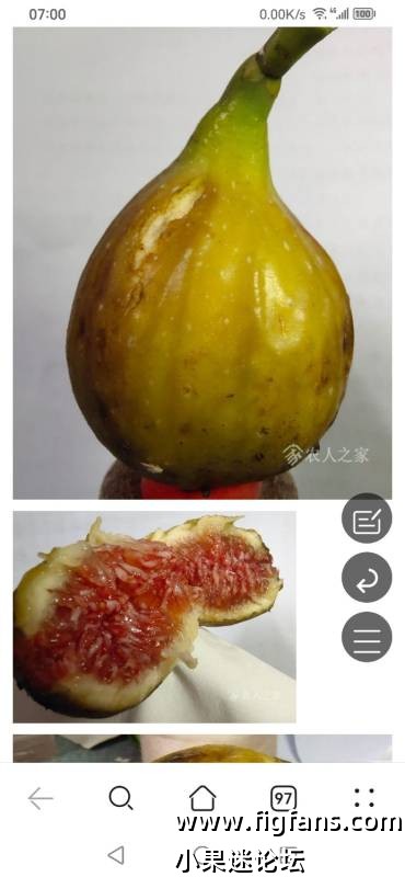 卡尔德起源-小果迷