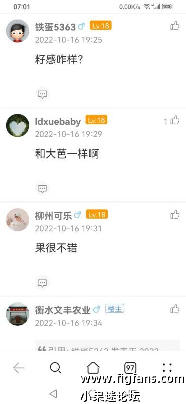 卡尔德起源-小果迷