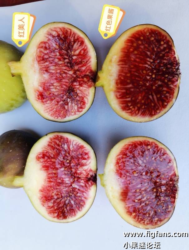 红色果酱VS红美人-小果迷