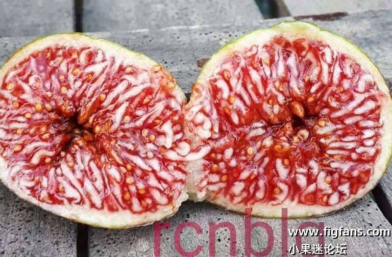 32.佩琪塔 Piazzetta/Piezzetta (雨辰)-小果迷