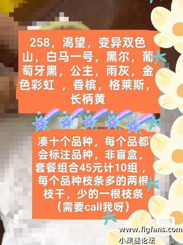 出无花果枝条套组-小果迷