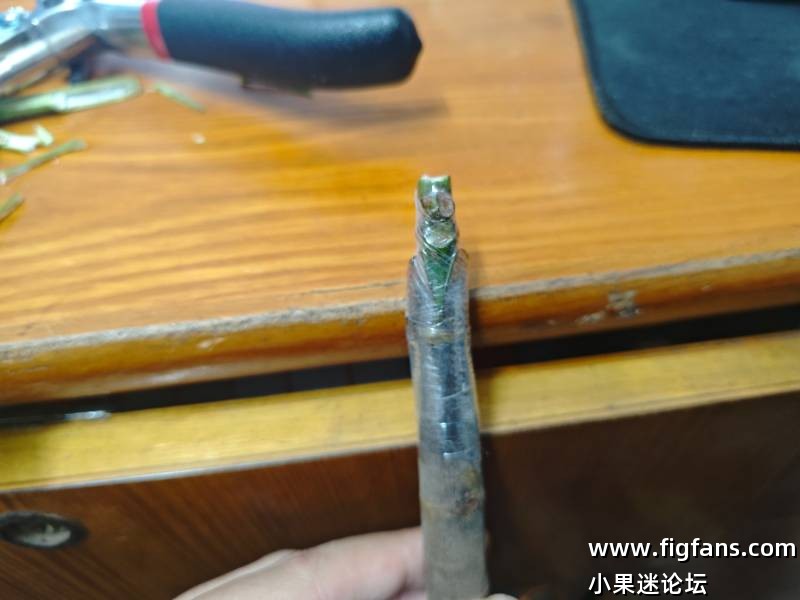 出卡门现接苗-小果迷