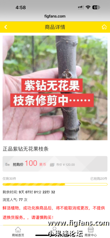 咨询管理员购买问题-小果迷