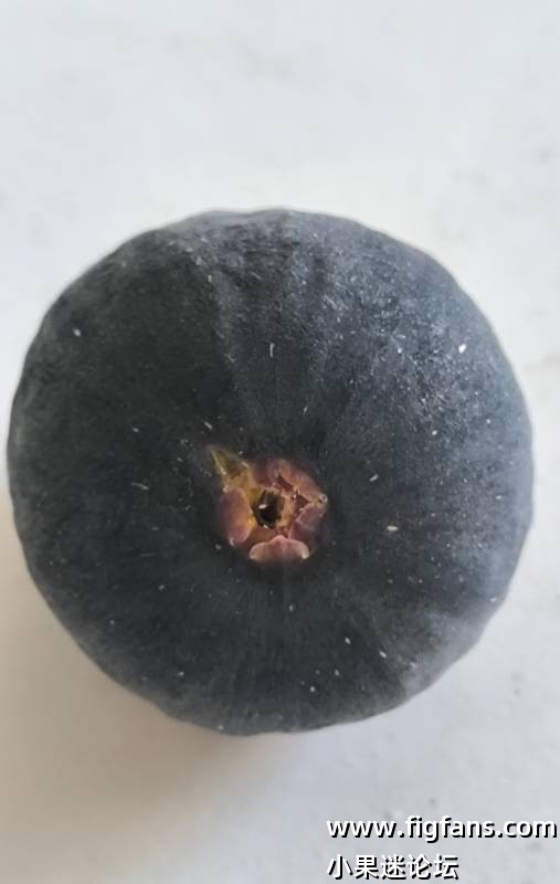 降温后的渴望-小果迷