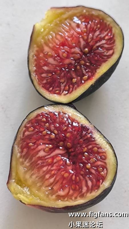 降温后的渴望-小果迷