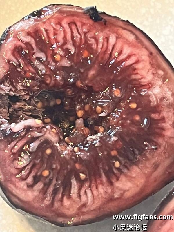 帕斯蒂里埃雨树（Jimmy）-小果迷