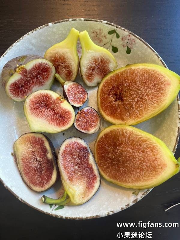 佩莱格里诺和福拉斯特拉MP-小果迷