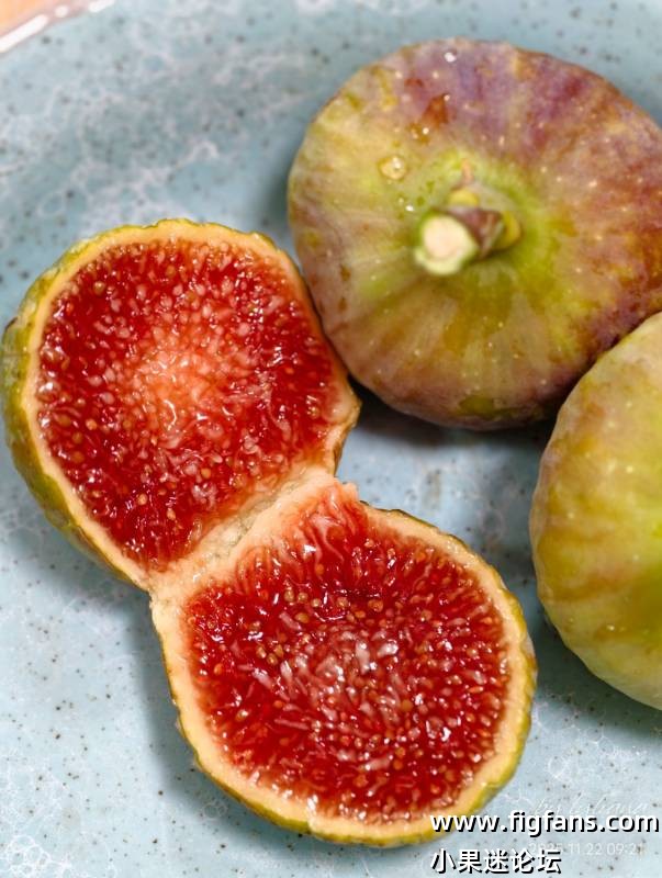 梅格兰不亏是庞斯品种，自己种出来-小果迷