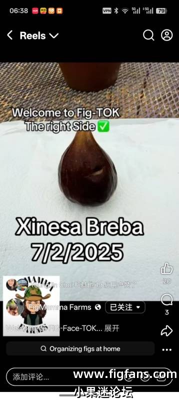 30.西内萨 Xinesa MP-小果迷