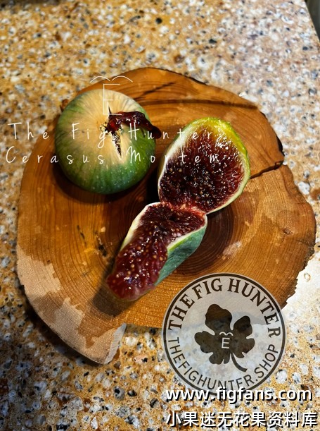 22号.樱桃之死 Cerasus Mortem/TFH187 加州无花果猎人-小果迷