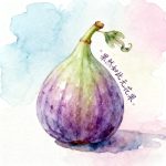 vaymynyu的头像-小果迷