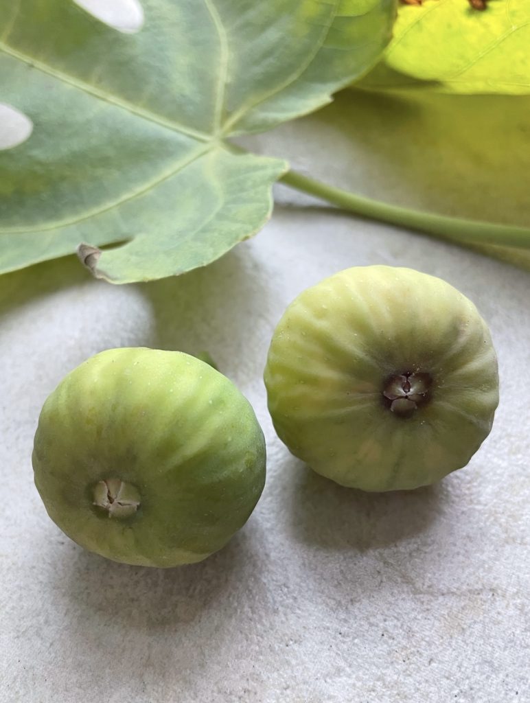 4C04E8F0-9EA6-41A3-9001-1A8568033E41