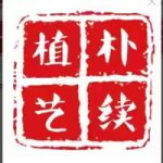 朴续植艺的头像-小果迷