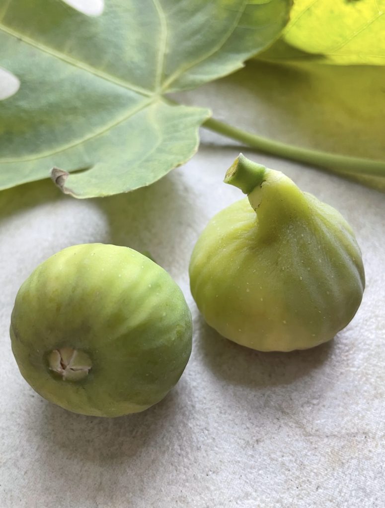 65DE67DC-6755-4026-97E9-62BBA0FF1BCA