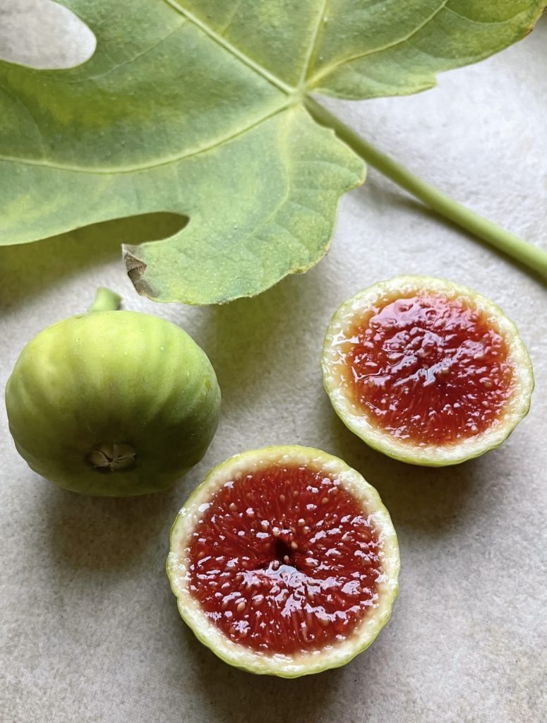 67DD5D67-6987-403B-9E66-D73FFCC1E113