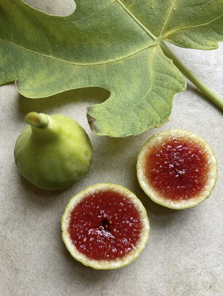 CD8B6D64-3E83-4592-A006-BEF55E9F50CE