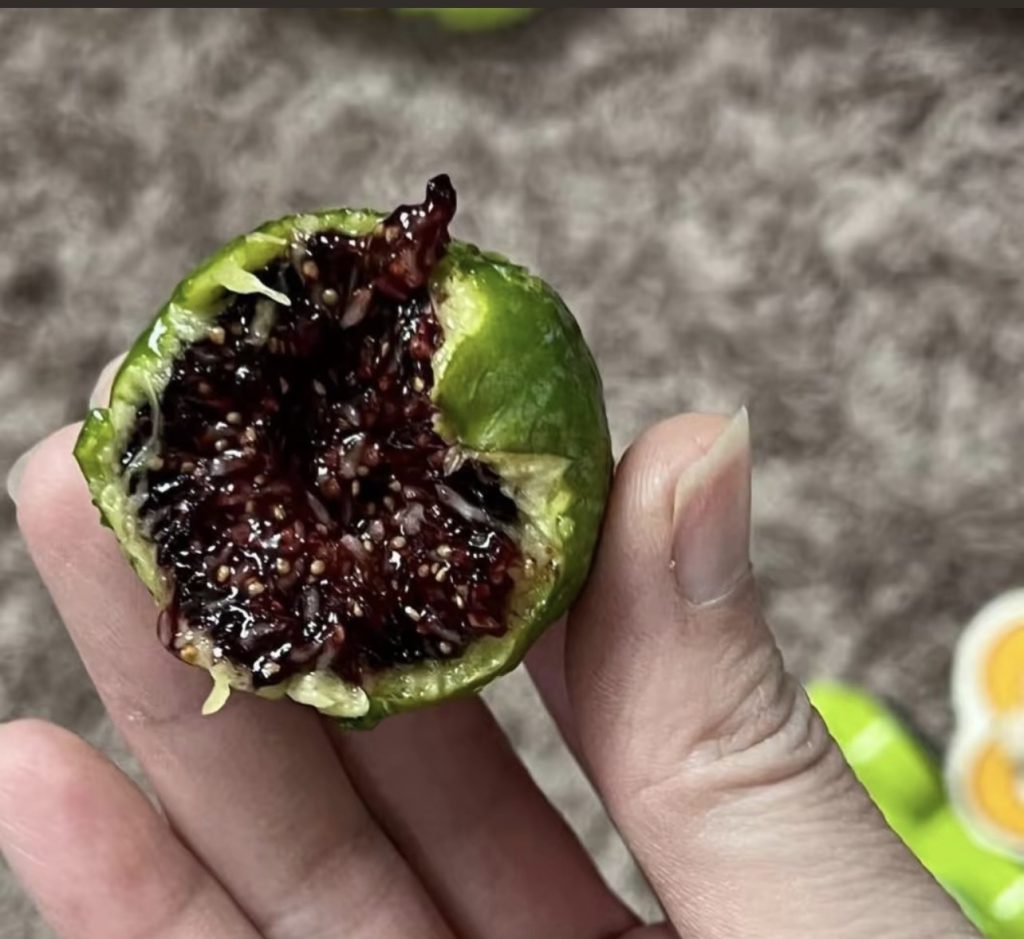 DC963F55-1D29-4007-8C37-6C29FDB0AA20