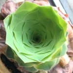 梦里听（CO）的头像-小果迷