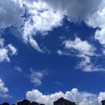 無为的头像-小果迷