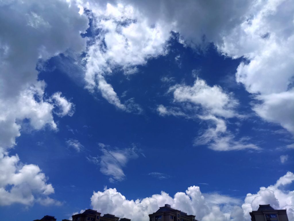 P00729-113110(1)