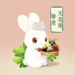 挚爱无花果的头像-小果迷