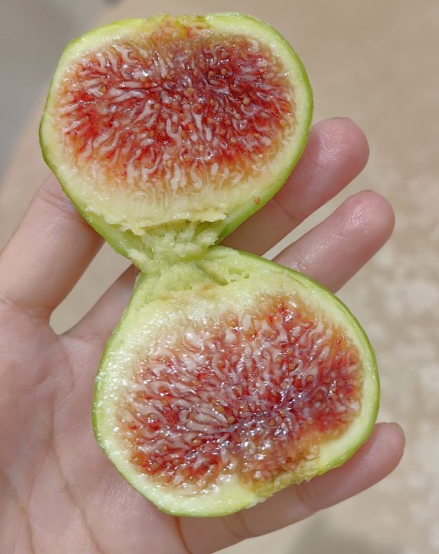 有冰裂纹的青皮-小果迷