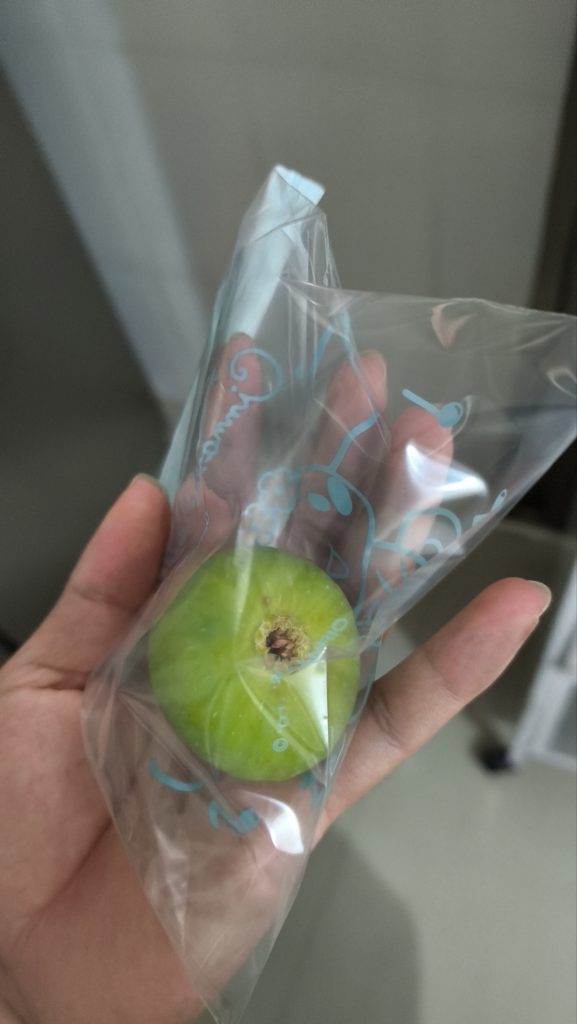 wx_camera_1766745125568