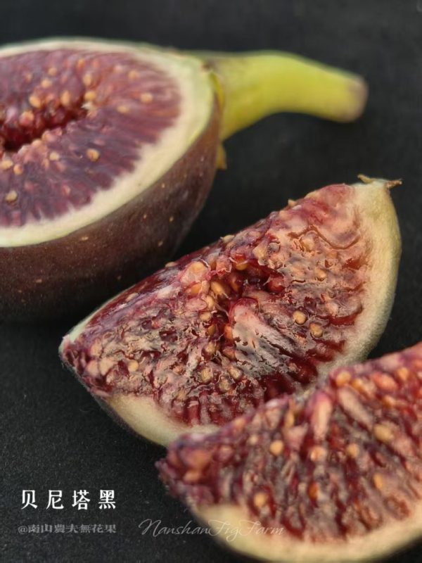 小果迷-种植爱好者交流互动平台