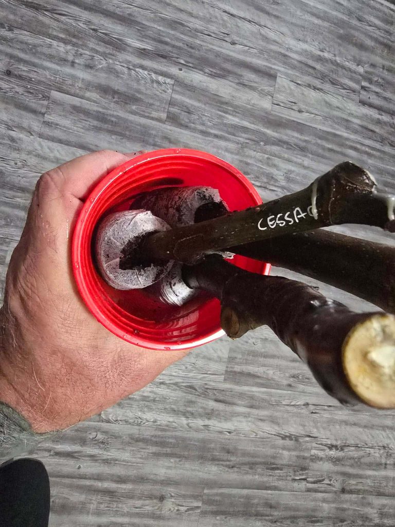 小果迷-种植爱好者交流互动平台