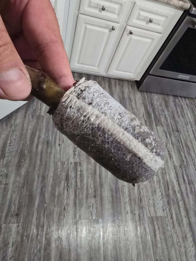 小果迷-种植爱好者交流互动平台