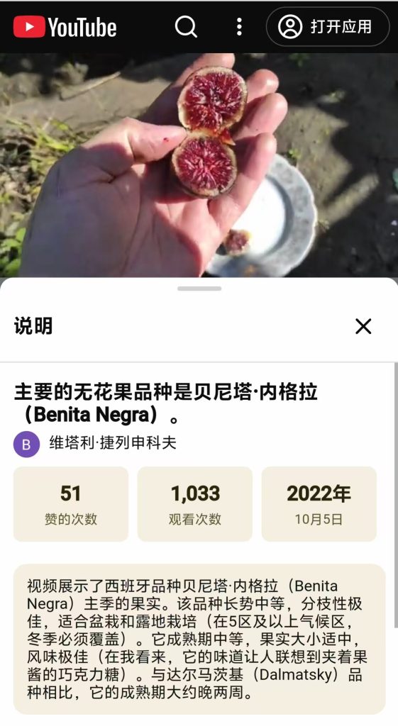 评论图片-小果迷