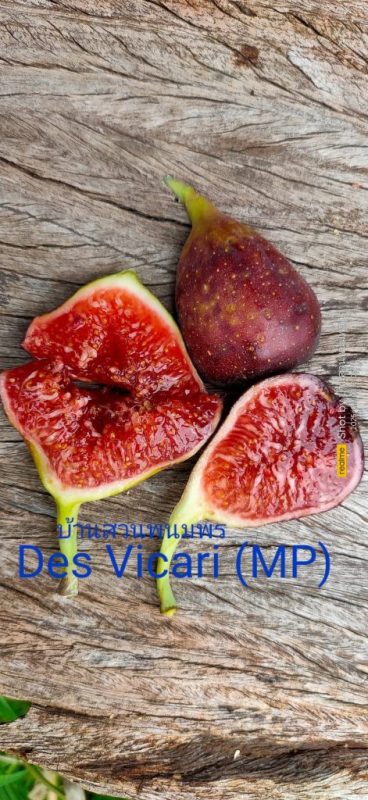 小果迷-种植爱好者交流互动平台