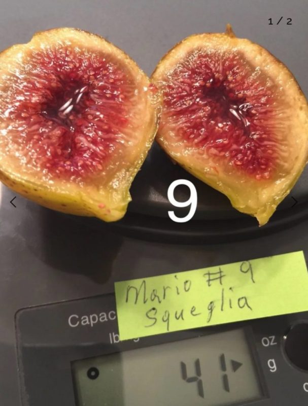 小果迷-种植爱好者交流互动平台