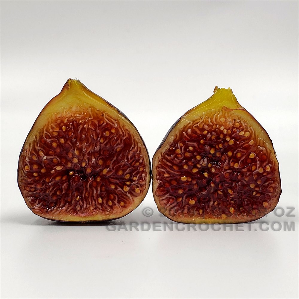 小果迷-种植爱好者交流互动平台