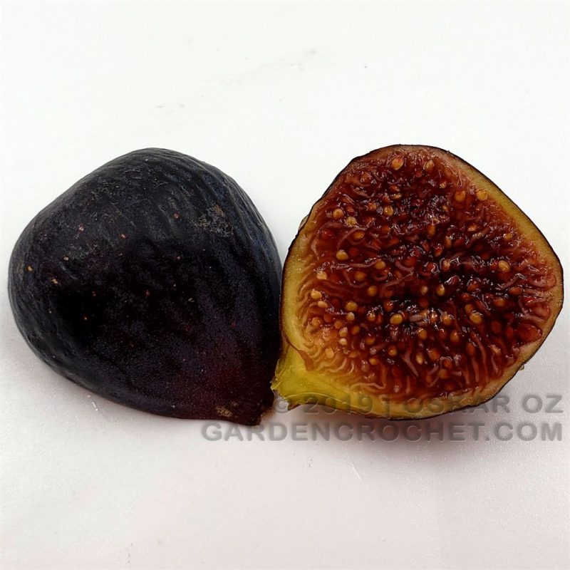 小果迷-种植爱好者交流互动平台