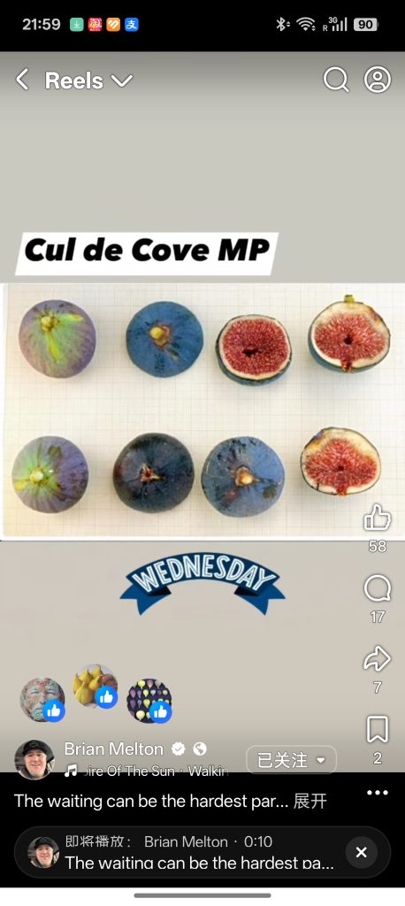 小果迷-种植爱好者交流互动平台