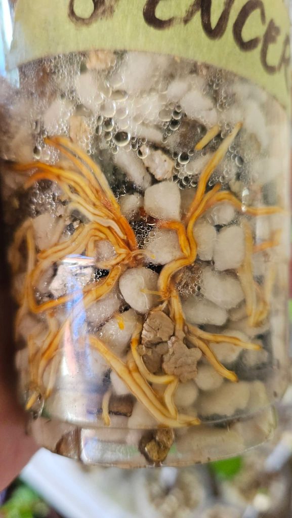 小果迷-种植爱好者交流互动平台