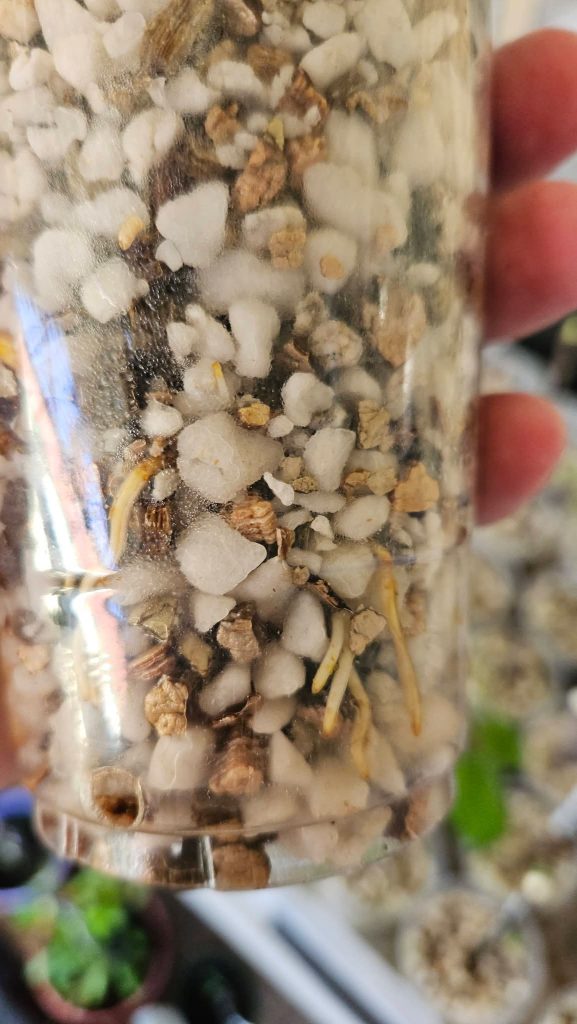 小果迷-种植爱好者交流互动平台