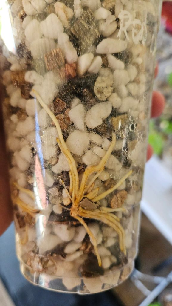 小果迷-种植爱好者交流互动平台