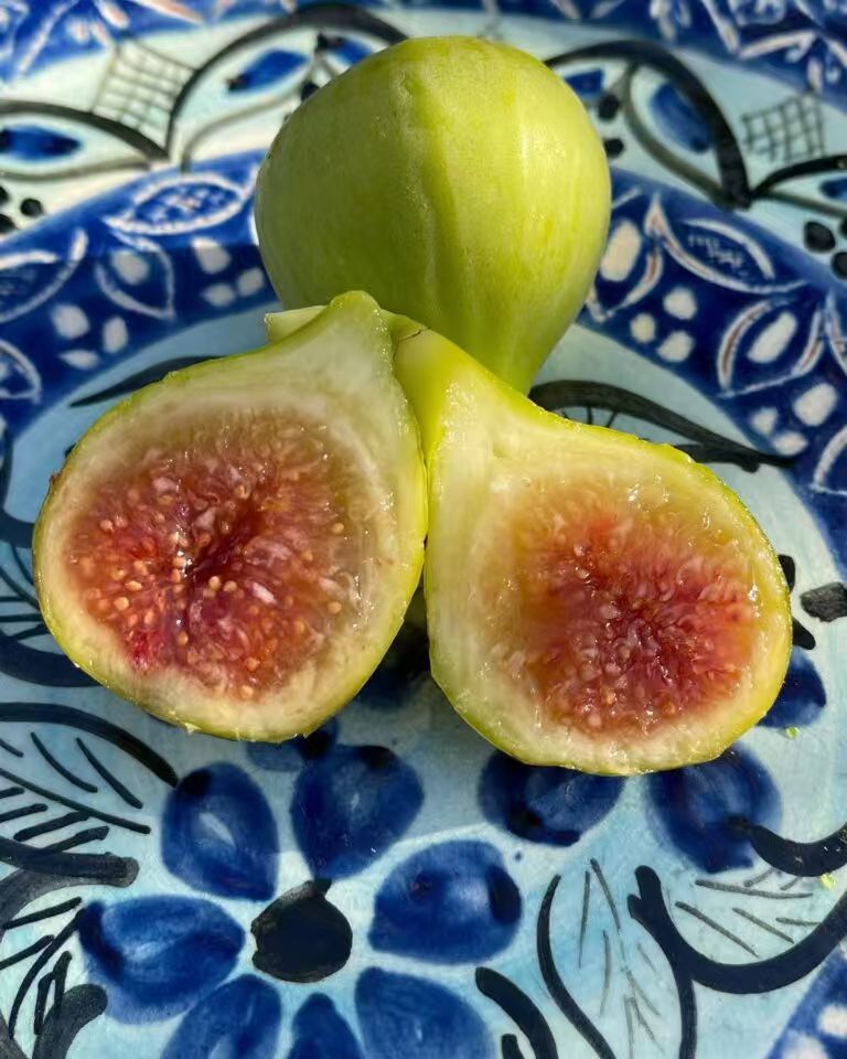 小果迷-种植爱好者交流互动平台