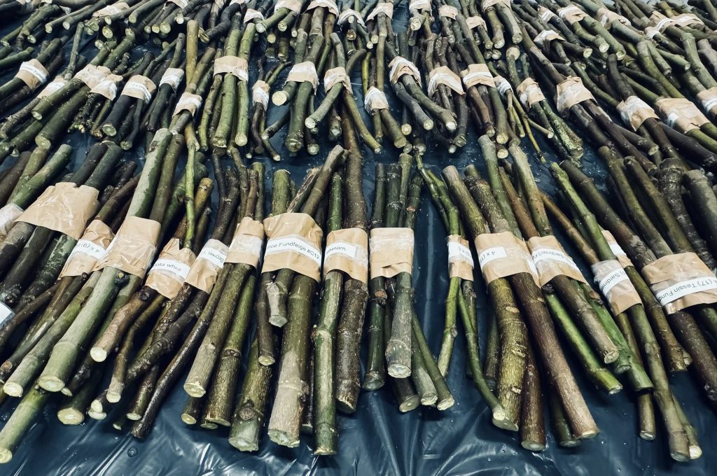 小果迷-种植爱好者交流互动平台