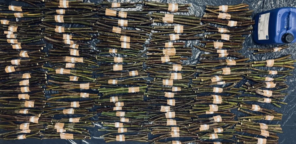 小果迷-种植爱好者交流互动平台