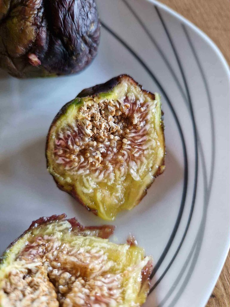 小果迷-种植爱好者交流互动平台