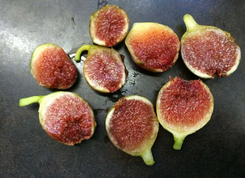 小果迷-种植爱好者交流互动平台